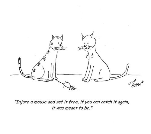 Cats talking.  'Injure a mouse and set it free, if you can catch it again, it was meant to be.'