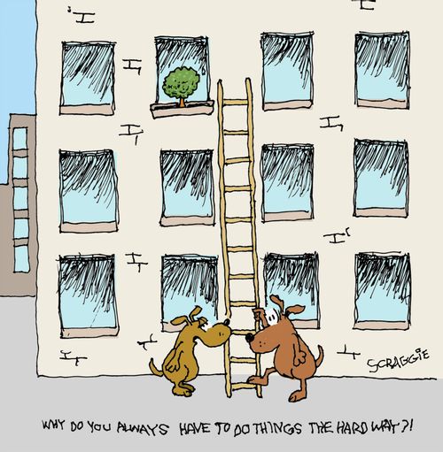 'Why do you always do things the hard way?!'
