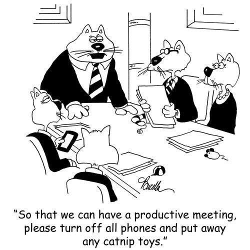 'So that we can have a productive meeting, please turn off all phones and put away any catnip toys.'