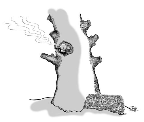 Squirrel wintering in tree with woodstove.