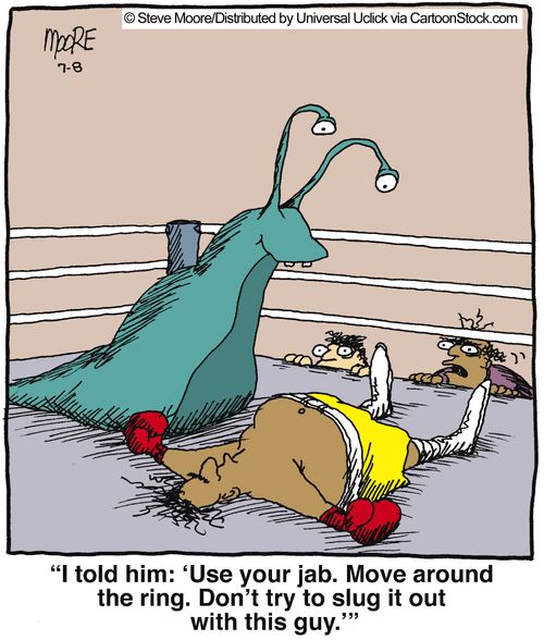 'I told him: 'Use your jab. Move around the ring. Don't try to slug it out with this guy.''