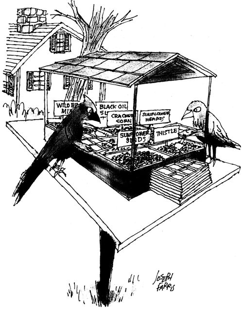 Bird table canteen.