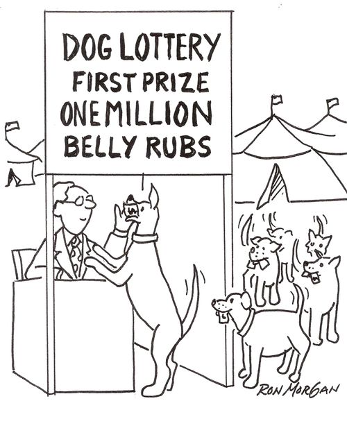 Dogs enter lottery for belly rubs.