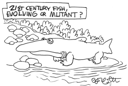 21st century fish, evolving or mutant?