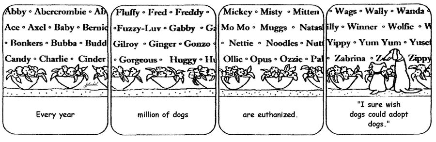'Every year millions of dogs are enthanized, 'I sure wish dogs could adopt dogs,'