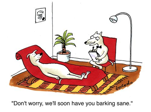 'Don't worry, we'll soon have you barking sane.'