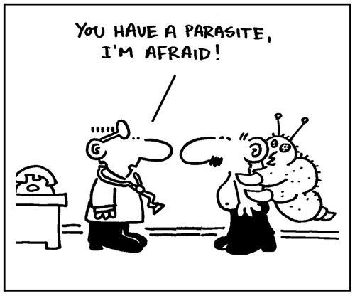 'You have a parasite, I'm afraid.'