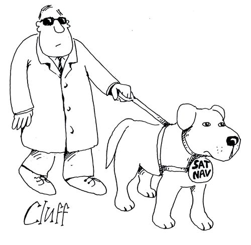 Seeing Dog with Collar Saying Sat Nav.