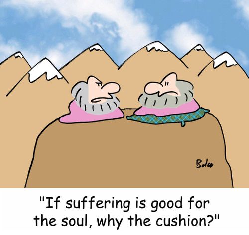 'If suffering is good for the soul, why the cushion?'