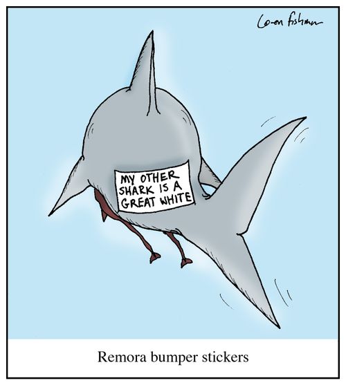 Remora bumper stickers