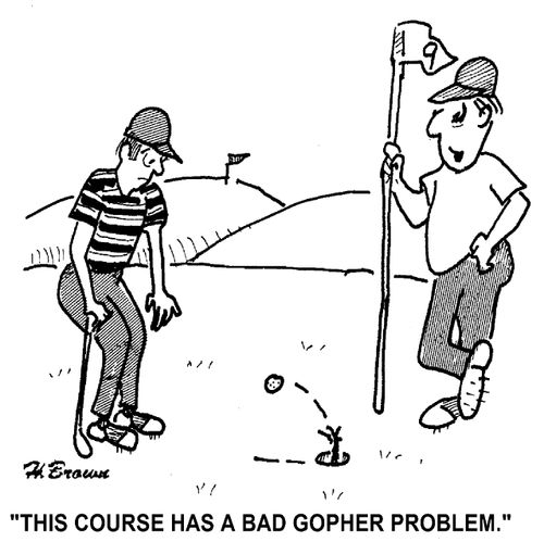 'This course has a bad gopher problem.'