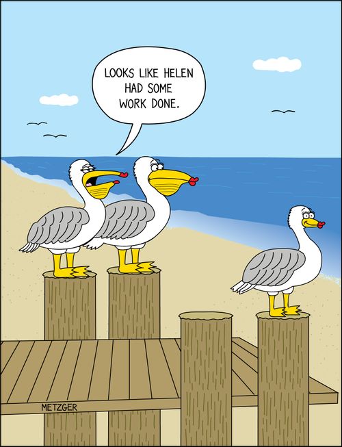 'Looks like Helen had some work done.'