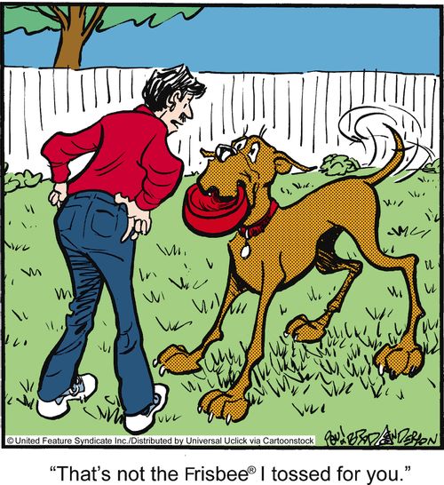 'That's not the frisbee I tossed for you.'