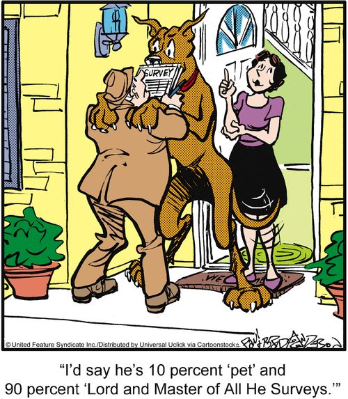 'I'd say he's 10 percent 'pet' and 90 percent 'Lord and Master of All He Surveys'.'