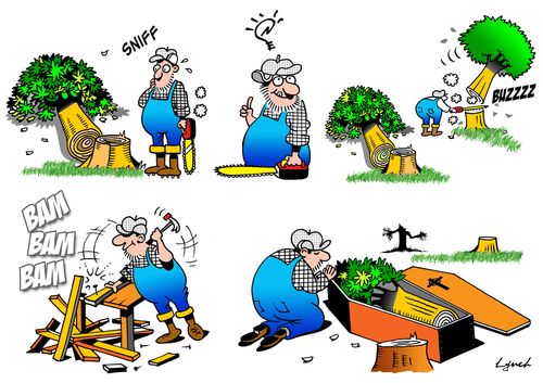 Tree funeral.