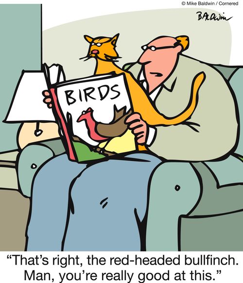 'That's right, the red-headed bullfinch. Man, you're really good at this.'
