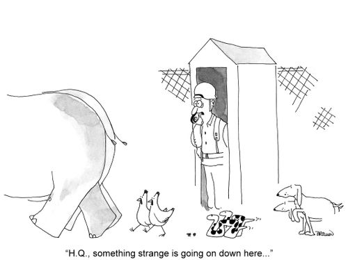 'H.Q., something strange is going on down here...'
