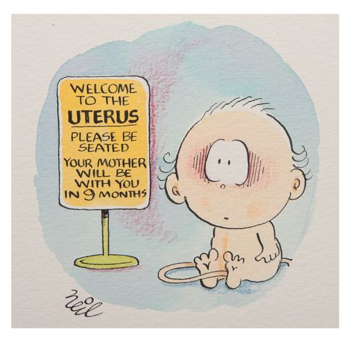 Welcome to the uterus. Please be seated. Your mother will be with you in nine months.