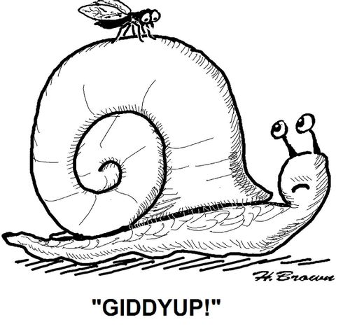 'Giddyup!'