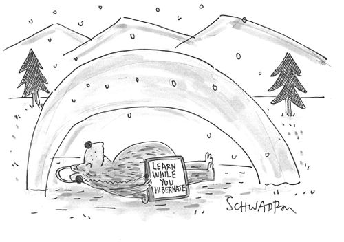 Learn While You Hibernate.