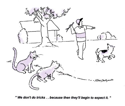 'We don't do tricks.. because then they'll begin to expect it.'