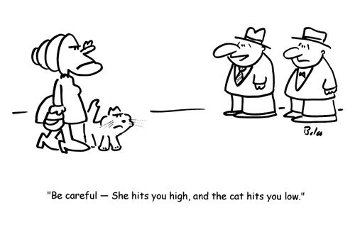 'Be careful- She hits you high, and the cat hits you low.'