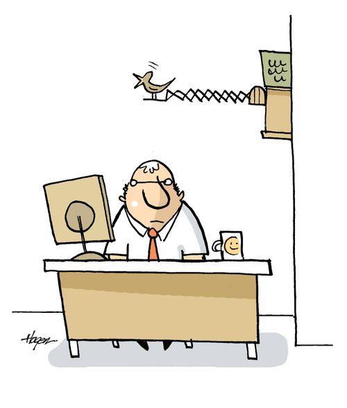 Cuckoo bird in office.