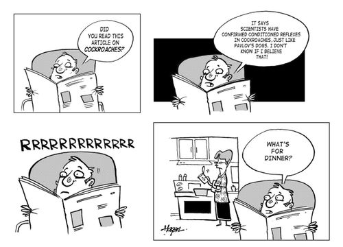 4-Panel: (1) 'Did you read this article on cockroaches?' (2) 'It says scientists have confirmed conditioned reflexes in cockroaches, just like Pavlov's dogs. I don't know if I believe that!' (4) 'What's for dinner?'
