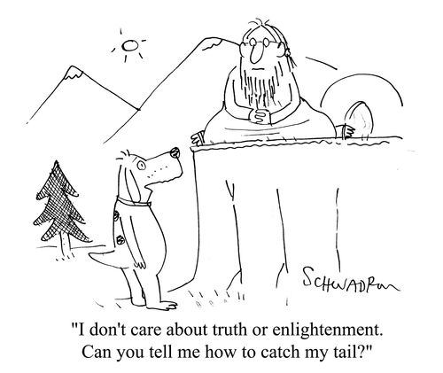 'I don't care about truth or enlightenment. Can you tell me how to catch my tail?'