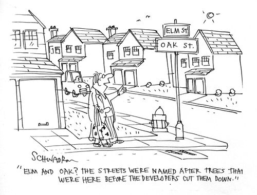 'Elm and Oak? The streets were named after trees that were here before the developers cut them down.'