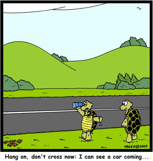 'Hang on, don't cross now: I can see a car coming...'