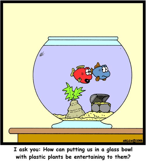 I ask you: How can putting us in a glass bowl with plastic plants be entertaining to them?