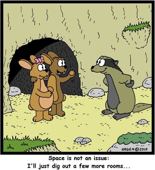 'Space is not an issue: I'll just dig out a few more rooms...'