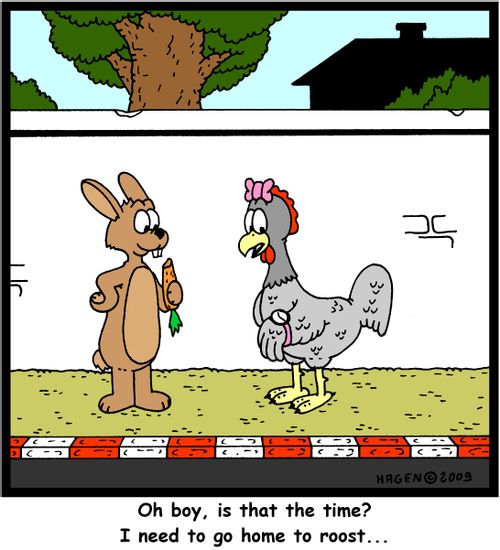 'Oh boy, is that the time? I need to go home to roost...'