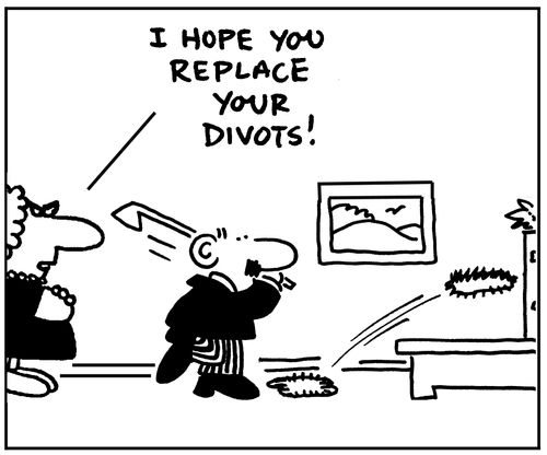 'I hope you replace your divots!'