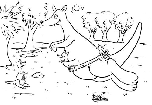 Kangaroo with joey in pack around back.