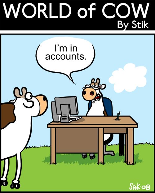 'I'm in accounts.'