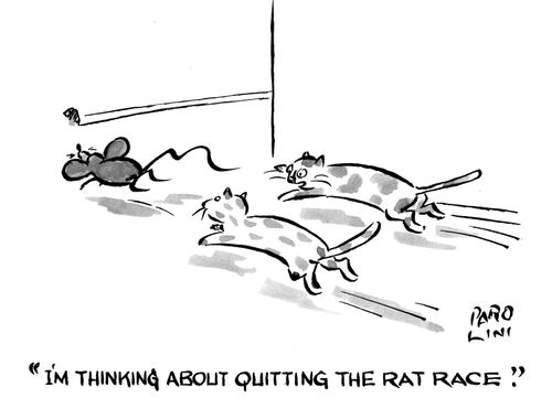 'I'm thinking about quitting the rat race.'