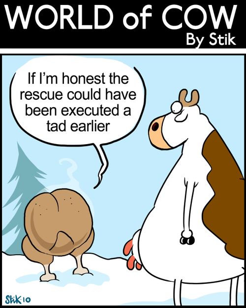 'If I'm honest the rescue could have been executed a tad earlier.'