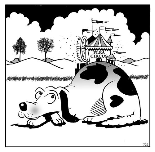 The Flea Circus.
