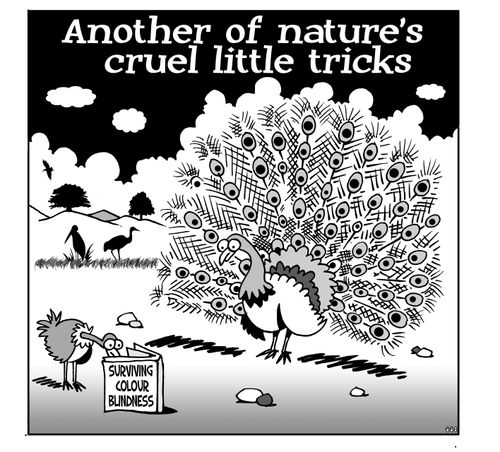 Another of nature's cruel little tricks.