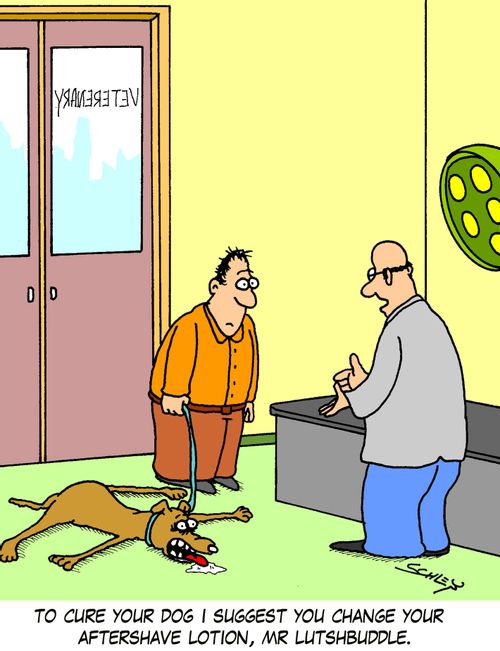 'To cure your dog I suggest you change your aftershave lotion, Mr Lutshbuddle.'