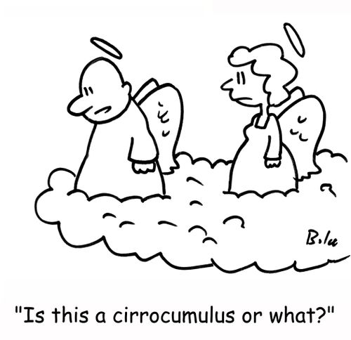 'Is this a cirrocumulus or what?'