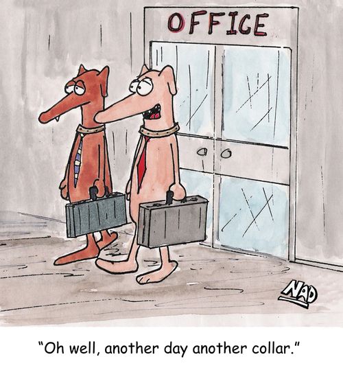 'Oh well, another day another collar.'