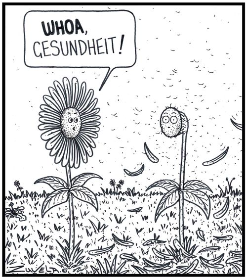 Flower: 'WHOA,Gesundheit!' A Flower has sneezed out all of his petals onto the ground