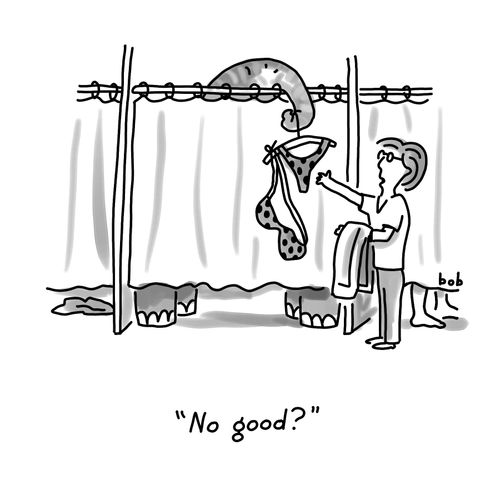Elephant rejects bikini in dressing room to salesperson.