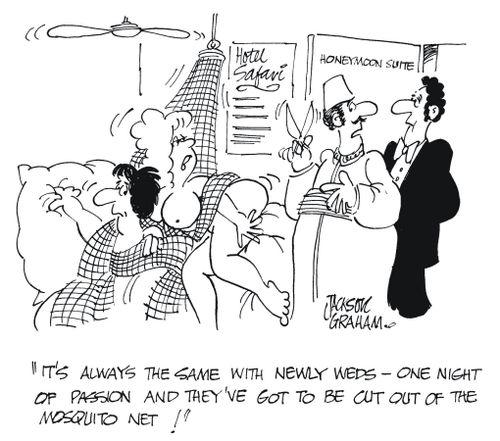 'It's always the same with the newly weds - one night of passion and and they've got to be cut out of the mosquito net !'