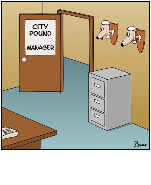 City Pound Manager