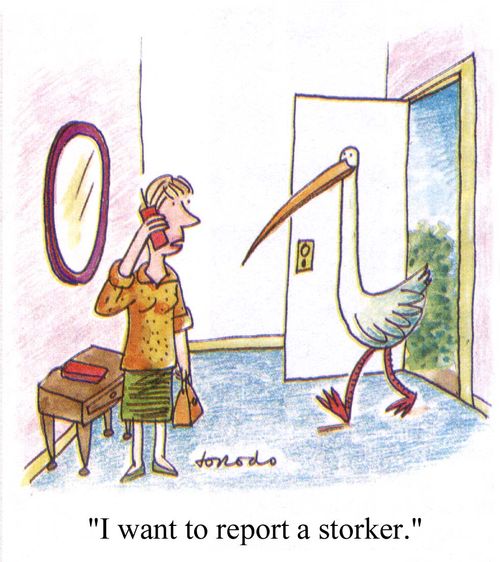 "I want to report a storker."