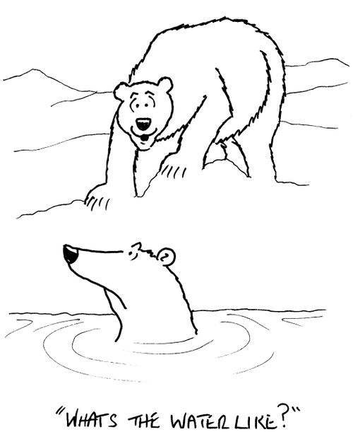 "What's the water like?"